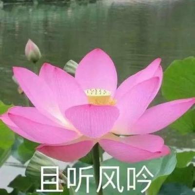 河南省南阳市委书记朱是西接受审查调查